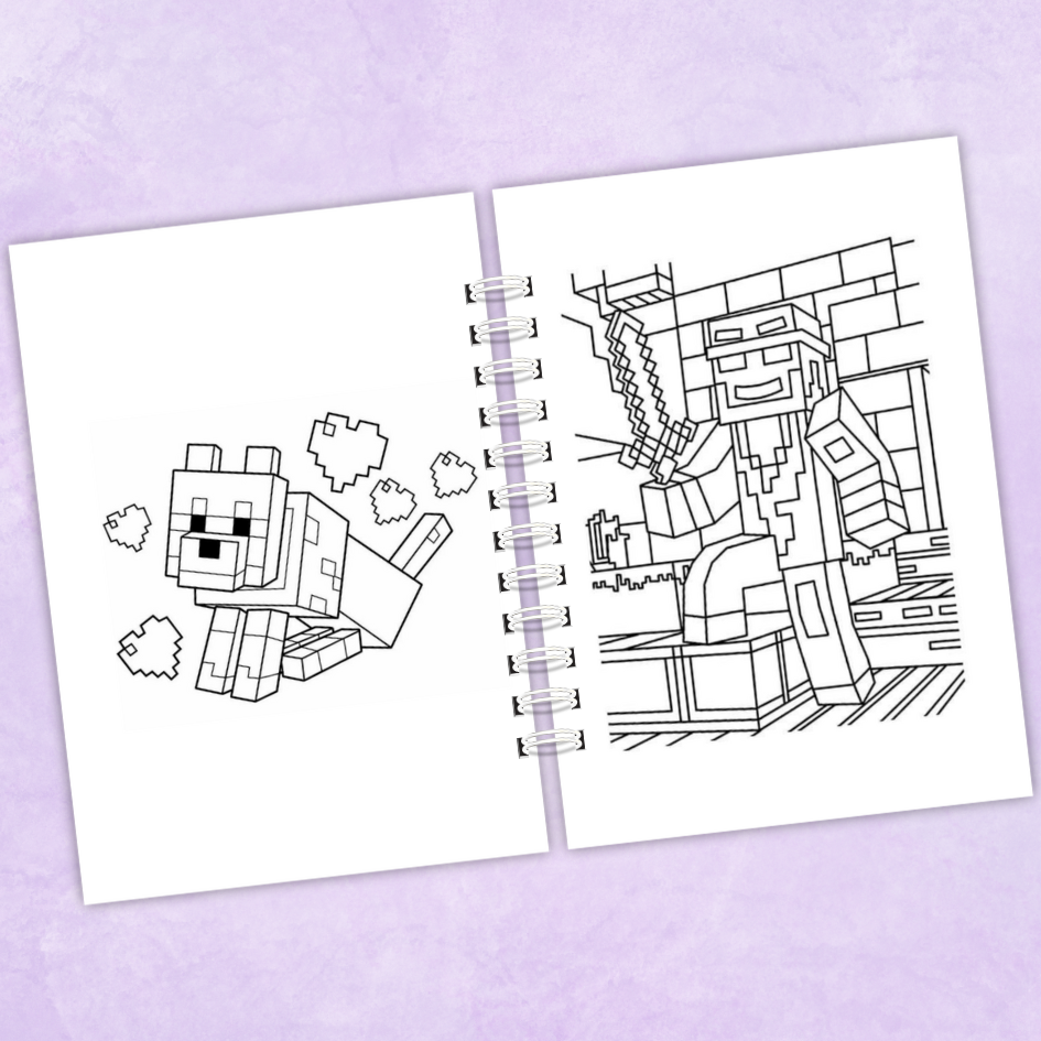 Libro para colorear Minecraft - 65 Dibujos